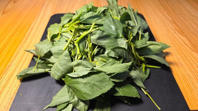 こいつの1番美味しい食べ方について。