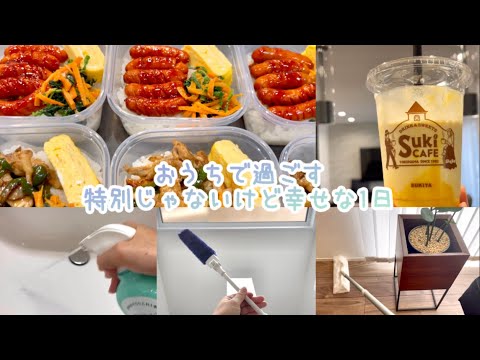 【Vlog】お気に入りのお掃除アイテムと冷凍お弁当☺︎【お弁当】