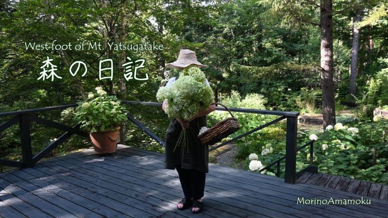 古い山荘の片付け/高原野菜のお料理/トトロの気配? 古い山荘の片付け/高原野菜のお料理/トトロの気配?