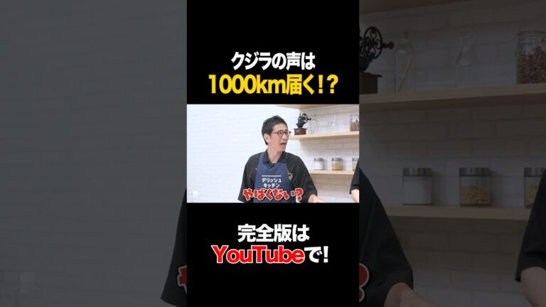 クジラの声は1000km届く！？ #柴田英嗣 #タイムマシーン3号 #shorts