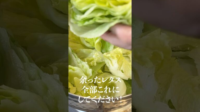 余ったレタス全部これにしてください！ツナ缶の出汁がきいたレタススープ#shorts #リュウジ #レタス #ツナ缶 #スープ #レシピ #料理