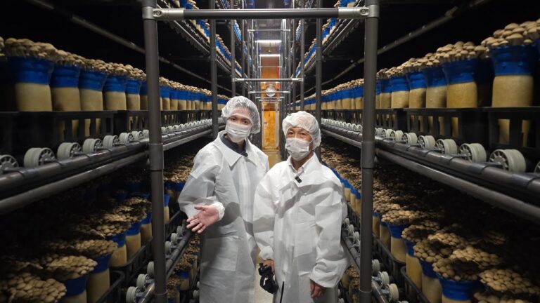 企業秘密の場所に呼び出されました。