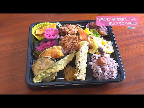 Ｔｒｅｎｄ＃Ｌｉｎｋ 行楽の秋・旬の野菜たっぷり腸活ができる弁当店