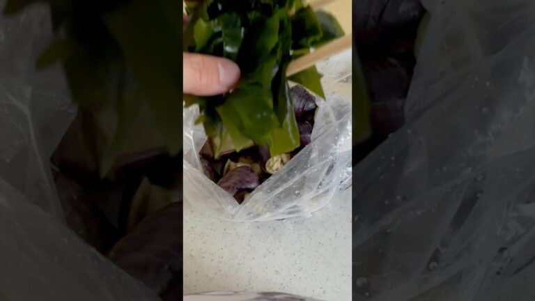 わかめと生姜なす#cooking #料理 #わかめ