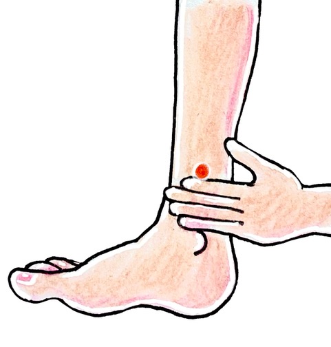 三陰交(さんいんこう)