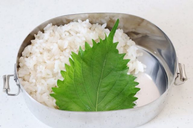 2品弁当の詰め方プロセス