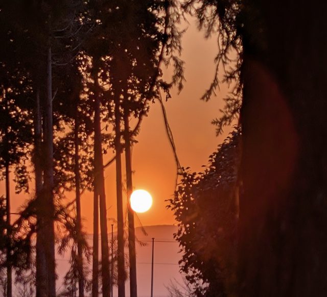 NEW
9/28 (日)
変化の中でもブレない人の「朝習慣」~活躍する人に共通する5つのこと~
長谷川千尋(美習慣コーチ🄬)12 朝日