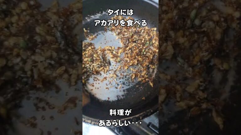 タイにはアカアリを食べる料理があるらしい・・・ #タイ料理 #エスニック料理 #shortsvideo タイにはアカアリを食べる料理があるらしい・・・ #タイ料理 #エスニック料理 #shortsvideo