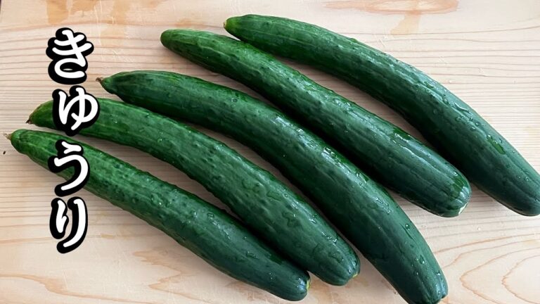きゅうりの酢の物 きゅうりの酢の物