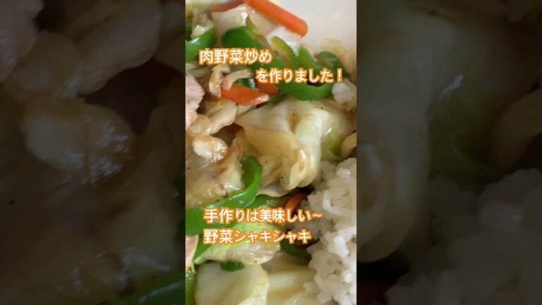 【グルメ】肉野菜炒め(手作り)#野菜炒め 【グルメ】肉野菜炒め(手作り)#野菜炒め