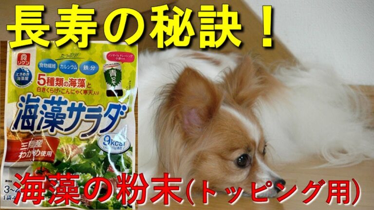 【17歳愛犬の手作りごはん】海藻の粉末（トッピング用）