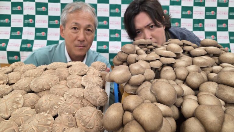 きのこの変態と作る。極上のきのこリゾット