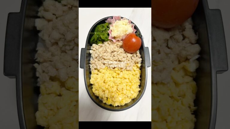 今日の仕事弁当はそぼろ弁当✨#お弁当 #cooking #料理 #shorts