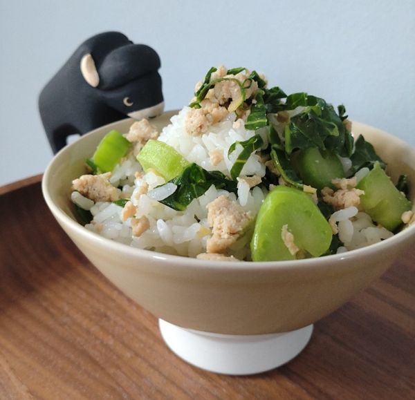 雲仙(うんせん)こぶ高菜そぼろ混ぜごはん