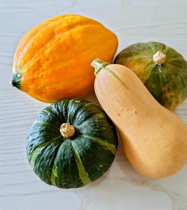 NEW
10/14 (火)
作り置きできて簡単便利!デパ地下みたいな「カボチャのサラダ」
野菜料理家 やのくにこ15 いろいろなカボチャ