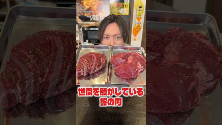 世間を騒がしている熊の肉。実際、美味しいのか料理研究家が検証します! #shorts #リュウジ #熊肉 #料理 #レシピ #検証 #検証動画 世間を騒がしている熊の肉。実際、美味しいのか料理研究家が検証します! #shorts #リュウジ #熊肉 #料理 #レシピ #検証 #検証動画