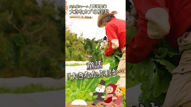 【童話”おおきなかぶ”って本当なの…?】|#クラシル #shorts 【童話"おおきなかぶ"って本当なの…?】|#クラシル #shorts