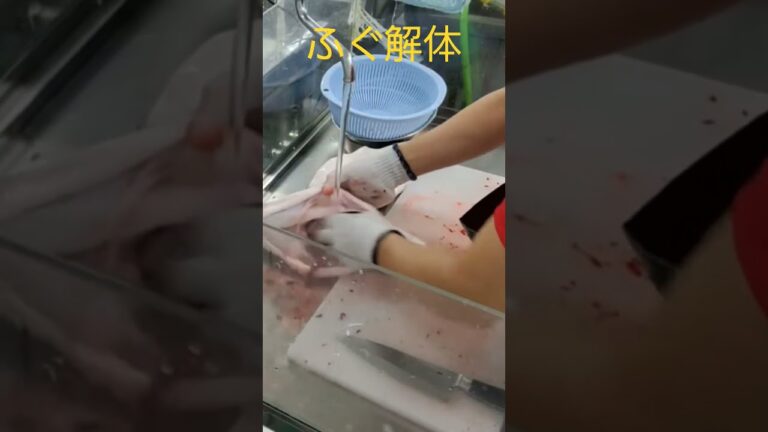 ふぐさばき #fish #とらふぐ