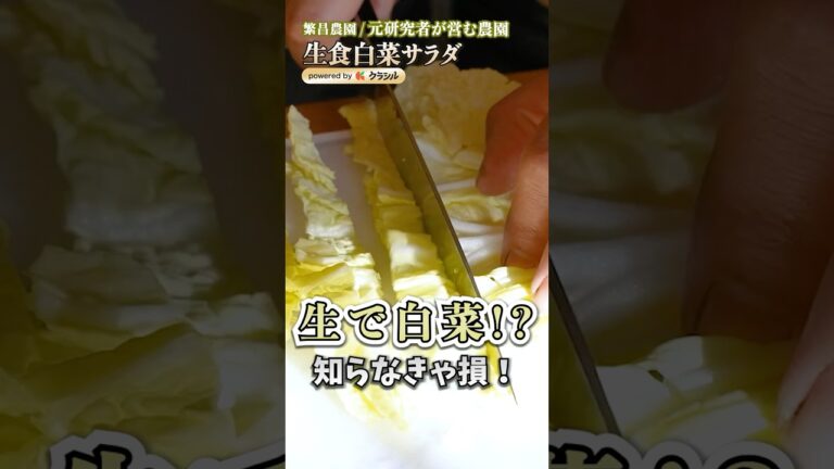 【シャキ甘！生で食べる白菜サラダ】｜#クラシル #shorts