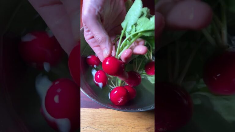 おつまみキャンセル界隈へ捧ぐ… #shorts