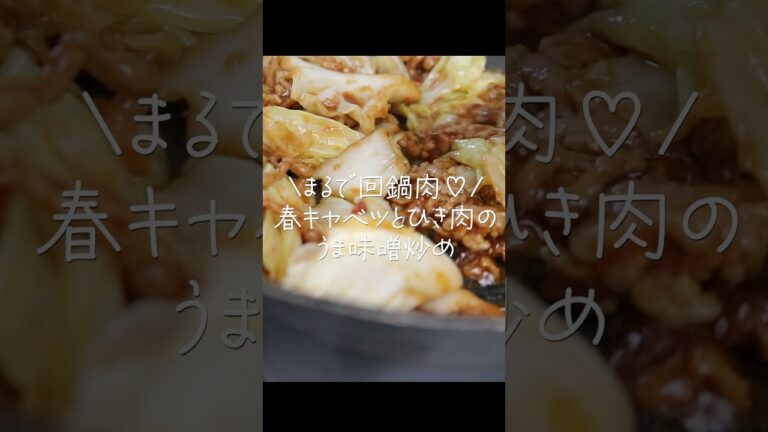【簡単&時短】さっと炒めるだけ!美味しすぎてごはんがたりないっ春キャベツとひき肉の回鍋肉風炒め #shorts #春キャベツ # #時短節約
