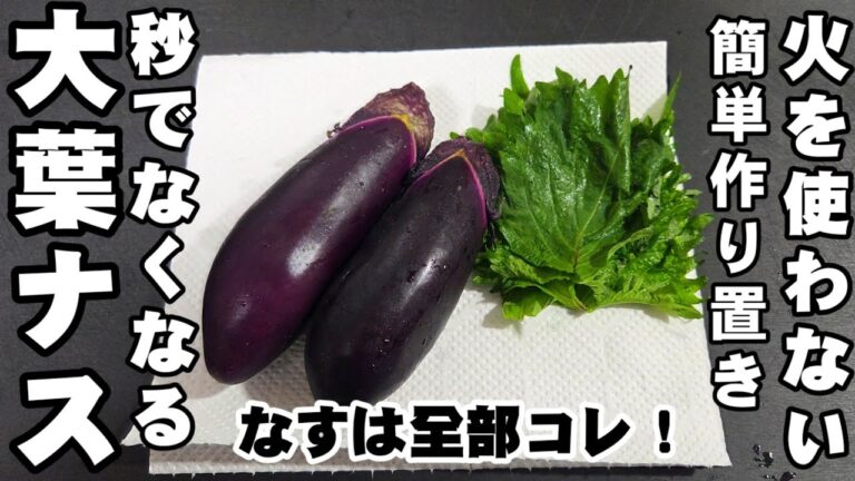 秒でなくなる！茄子と大葉漬けるだけ！火を使わない 簡単なすレシピ おつまみ 副菜 作り置き 常備菜 ナス 大量消費 ヘルシー ダイエット 節約