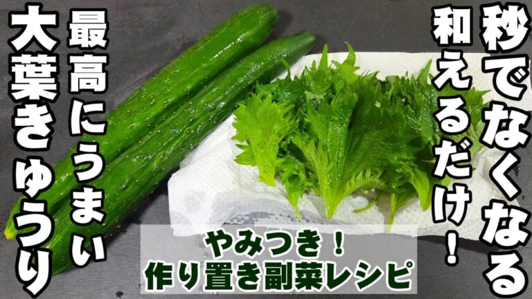 秒でなくなる！切って和えるだけ！きゅうりと大葉の簡単レシピ 作り置き常備菜 副菜 おつまみ 中華 ヘルシー健康 大量消費