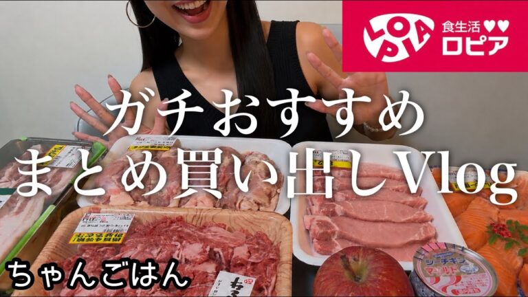 嵐の日の大量買い出しVlog🌸ロピアへGo!