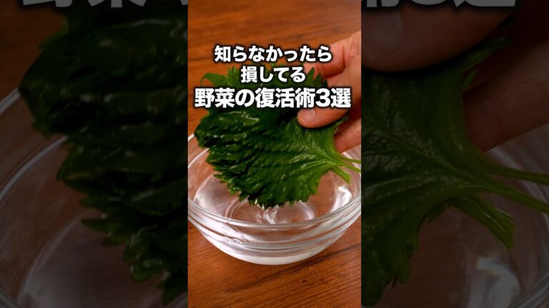 ※カビが生えてたら絶対にやらないでください「野菜のしなしな復活3選」 詳しいレシピは概要欄をチェック!#裏ワザ ※カビが生えてたら絶対にやらないでください「野菜のしなしな復活3選」 詳しいレシピは概要欄をチェック!#裏ワザ