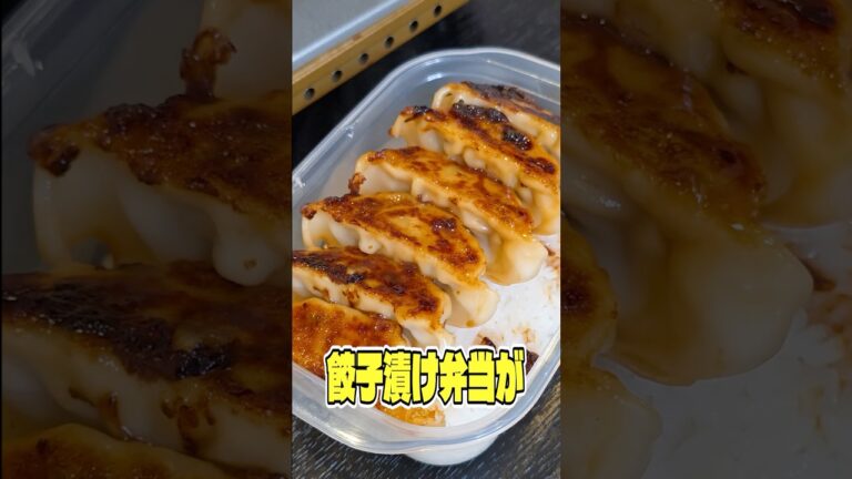 むしろ、出来立てより美味しい餃子を漬けにする餃子漬け弁当が世界でいちばん美味しいです #リュウジ #餃子 #弁当 #お弁当 #レシピ #料理 #バズレシピ むしろ、出来立てより美味しい餃子を漬けにする餃子漬け弁当が世界でいちばん美味しいです #リュウジ #餃子 #弁当 #お弁当 #レシピ #料理 #バズレシピ
