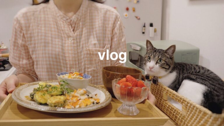 【ヘルシーレシピ】食べながらゆるくダイエット🥗野菜と豆腐を使った簡単で美味しい５日間の自炊vlog