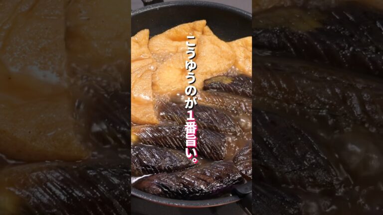 【こうゆうのが１番美味しい】なすと油揚げだけで絶品「なすと油揚げのとろとろ煮」の作り方  #料理 #簡単レシピ