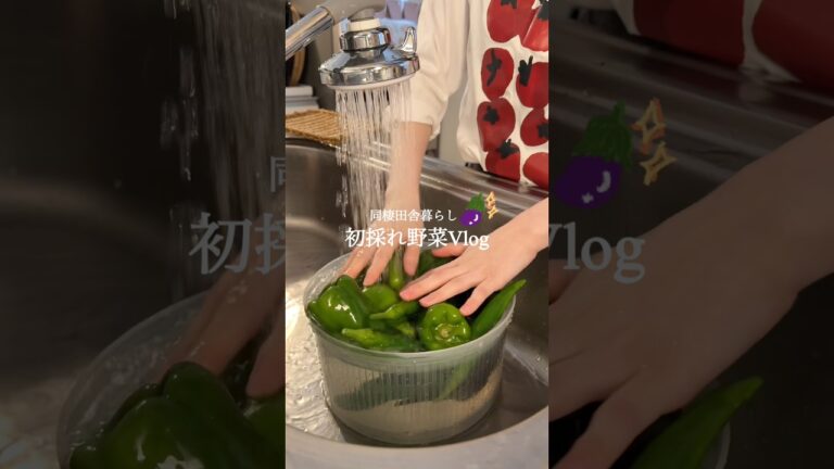 【 同棲田舎暮らし🛖🌱】初採れ野菜Vlog