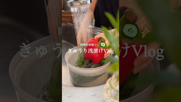 【きゅうりレシピ🥒】半日で完成!浅漬け2種 【きゅうりレシピ🥒】半日で完成!浅漬け2種