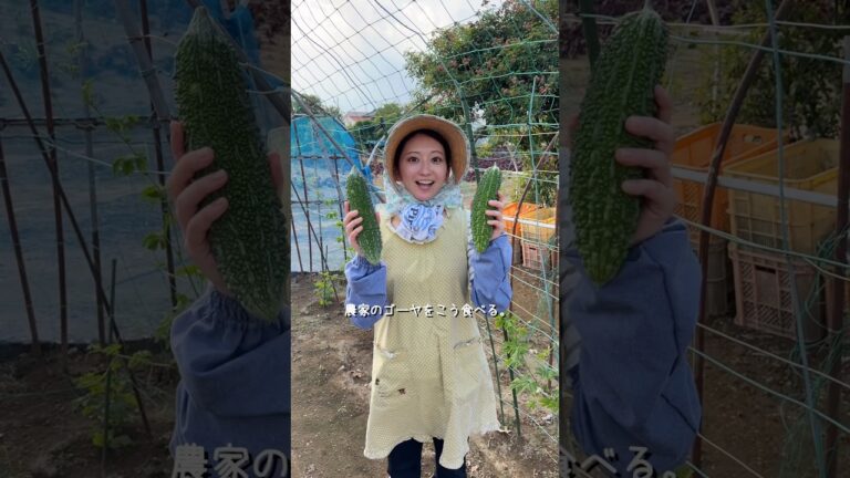 農家の娘はゴーヤをこう食べる。 #秒数レシピ #簡単レシピ #野菜レシピ #農家の娘