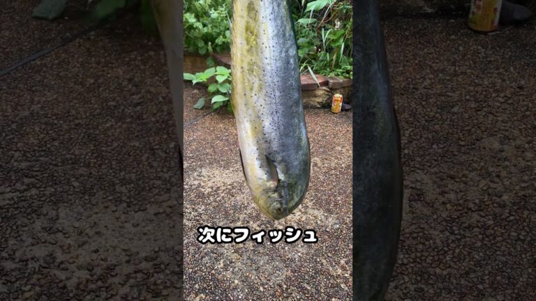フィッシュバーガー　作り方