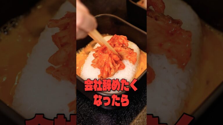 人生に疲れて会社辞めたくなったらこれだけは作ってください。包丁も火も使わないレンチンだけでできる虚無キムチチャーハン 人生に疲れて会社辞めたくなったらこれだけは作ってください。包丁も火も使わないレンチンだけでできる虚無キムチチャーハン
