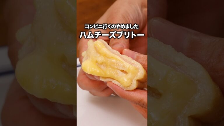 家にあるものでできました「豆腐ブリトー」 詳しいレシピは概要欄をチェック！#簡単レシピ